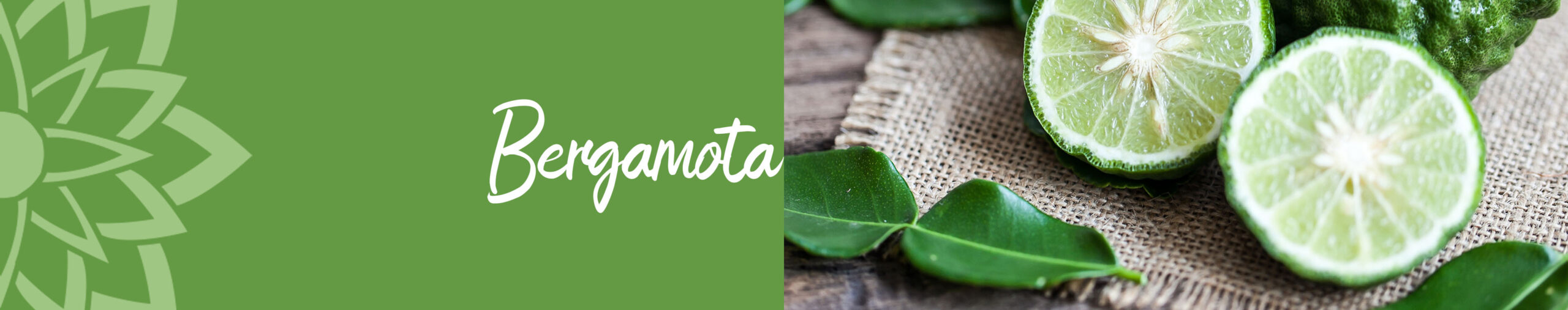 02 BANNER BERGAMOTA scaled